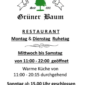3* Hotel Landgasthof Gruener Baum